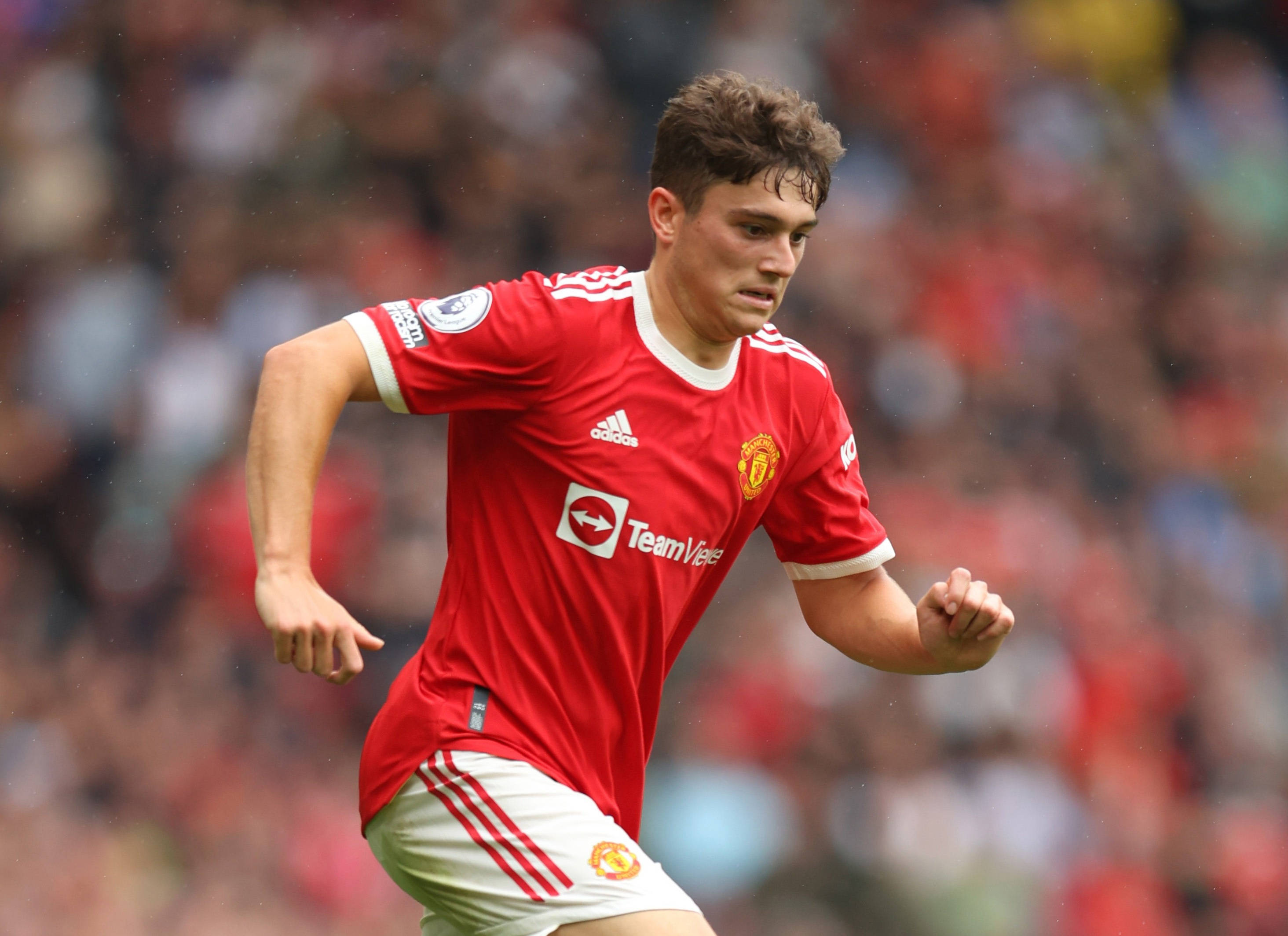 欧篮联倒计时；布莱顿窗口期防线松动；细节引发关注；管理层满意；资深球员宣示担当的简单介绍