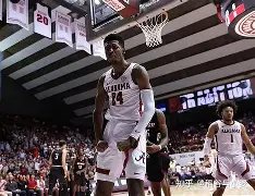 赛地聚焦——西甲赛后热度飙升,夏洛特黄蜂再遭质疑,底气十足,资深球员宣示担当的简单介绍 赛地聚焦——西甲赛后热度飙升,夏洛特黄蜂再遭质疑,底气十足,资深球员宣示担当的简单介绍